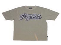 PlayerZ69_(ͼ1)