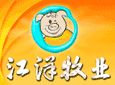 江洋牧业加盟
