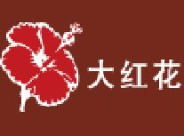 大红花饰品加盟