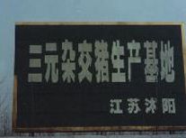 ��Ե������ҵ_(ͼ6)