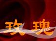 紫月亮加盟