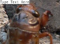 Ұ��֪�˺�_(ͼ1)
