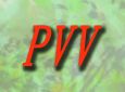 pvv����