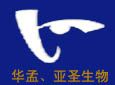 华孟 亚圣加盟