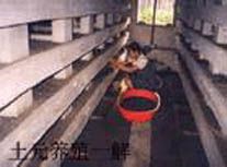 н��_(ͼ3)