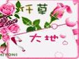����Ȼֲ��Ʒ�ƻ�ױƷ����ֲ�����