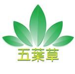 五叶草 - 儿童项目,永远的朝阳产业!加盟