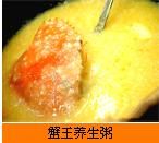 ̨�����_(ͼ7)