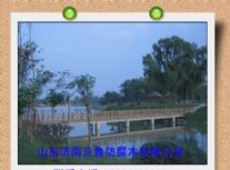 京鲁防腐木加盟