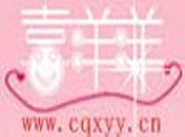 喜洋洋婚庆加盟